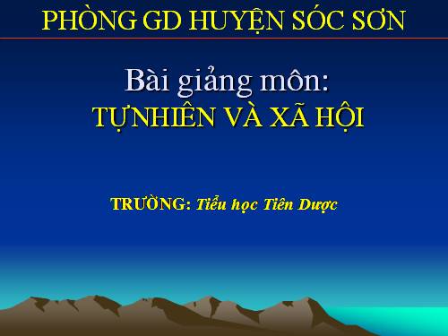 Bài 30. Nhận biết cây cối và các con vật