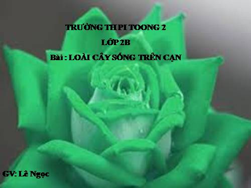 Bài 25. Một số loài cây sống trên cạn