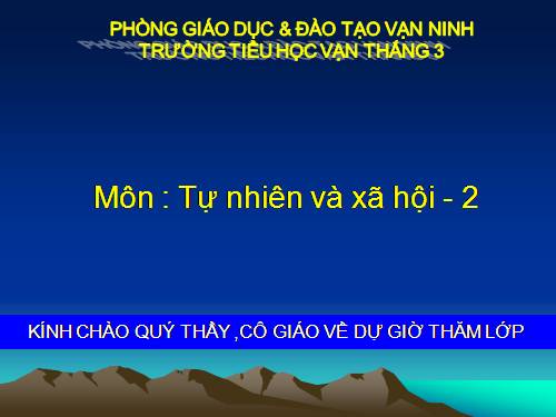 Bài 26. Một số loài cây sống dưới nước