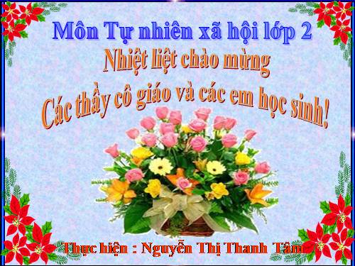 Bài 31. Mặt Trời