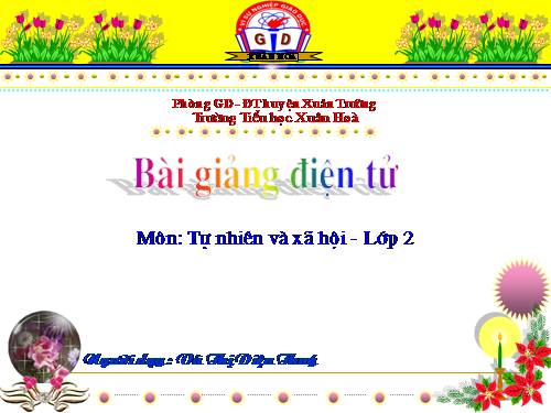 Bài 24. Cây sống ở đâu?