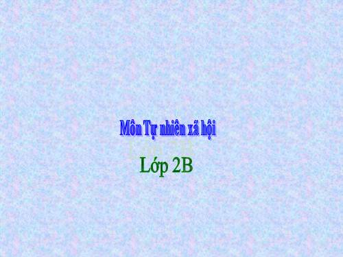 Bài 31. Mặt Trời