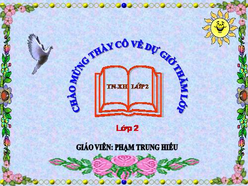 Bài 31. Mặt Trời
