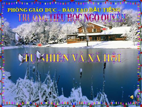Bài 11. Gia đình