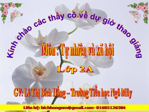 Bài 13. Giữ sạch môi trường xung quanh nhà ở