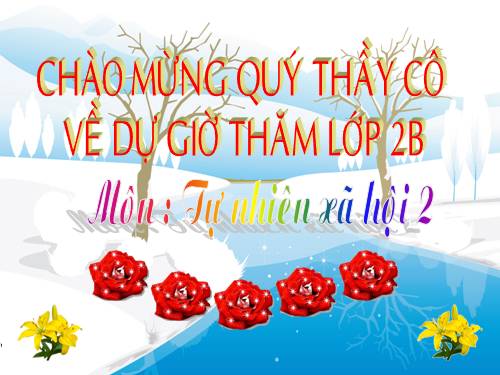 Bài 29. Một số loài vật sống dưới nước