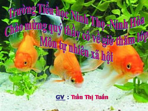 Bài 29. Một số loài vật sống dưới nước