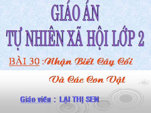 Bài 30. Nhận biết cây cối và các con vật