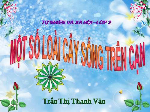 Bài 25. Một số loài cây sống trên cạn