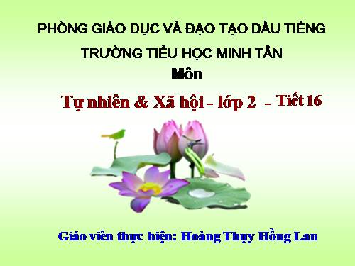 Bài 16. Các thành viên trong nhà trường