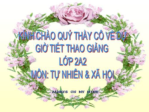 Bài 9. Đề phòng bệnh giun