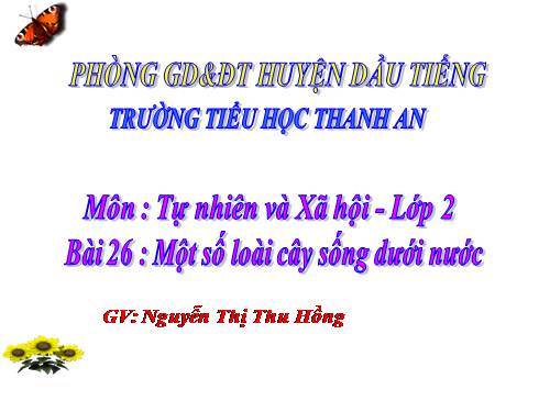 Bài 26. Một số loài cây sống dưới nước