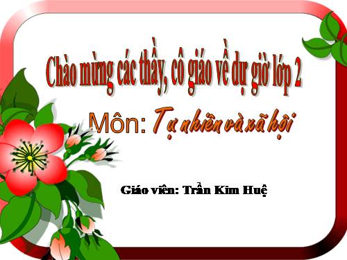 Bài 25. Một số loài cây sống trên cạn