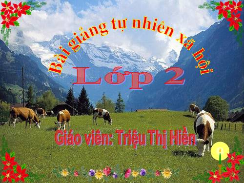 Bài 28. Một số loài vật sống trên cạn