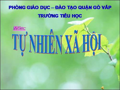 Bài 28. Một số loài vật sống trên cạn
