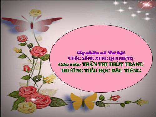 Bài 22. Cuộc sống xung quanh (tiếp theo)