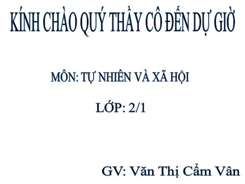 Bài 25. Một số loài cây sống trên cạn