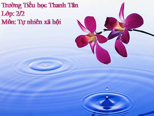Bài 14. Phòng tránh ngộ độc khi ở nhà