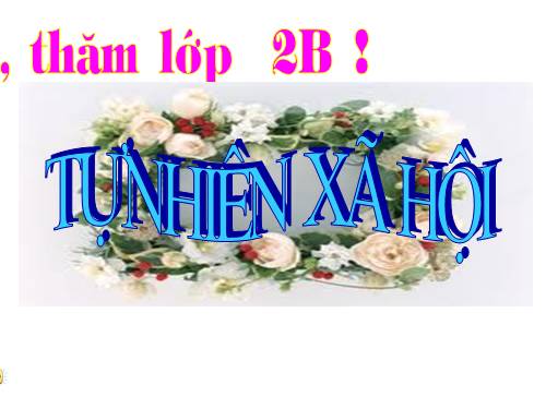 Bài 25. Một số loài cây sống trên cạn