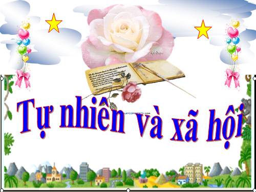 Bài 23. Ôn tập: Xã hội