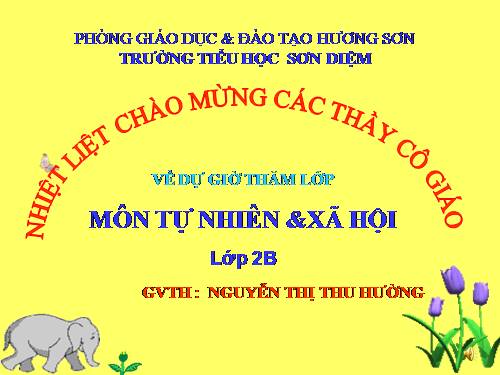 Bài 24. Cây sống ở đâu?