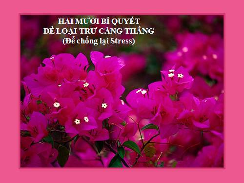 20 loi khuyennh cho ban