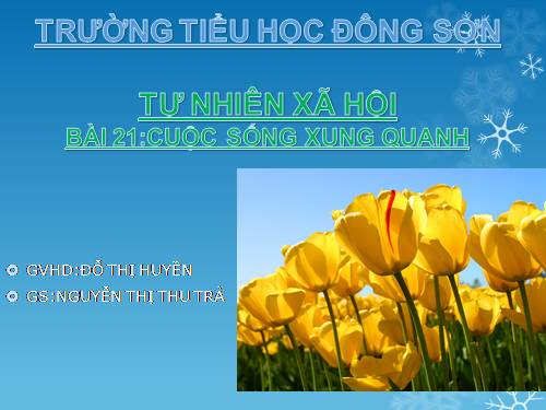 Bài 21. Cuộc sống xung quanh