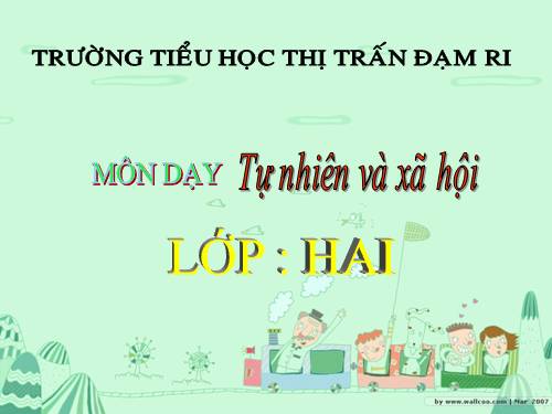 Bài 16. Các thành viên trong nhà trường