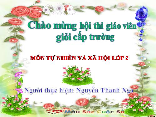 Bài 20. An toàn khi đi các phương tiện giao thông