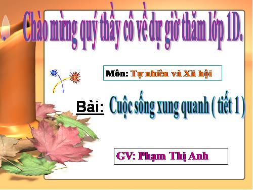 Bài 21. Cuộc sống xung quanh
