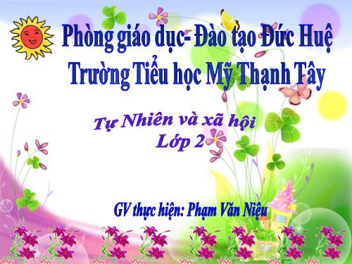 Bài 25. Một số loài cây sống trên cạn