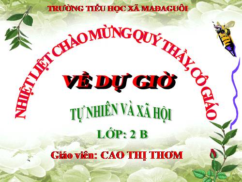 Bài 8. Ăn, uống sạch sẽ
