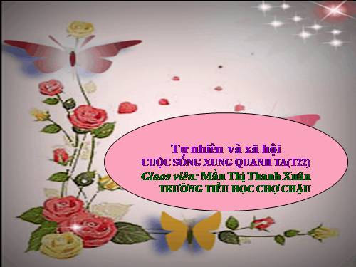 Bài 22. Cuộc sống xung quanh (tiếp theo)
