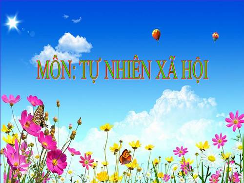 Bài 19. Đường giao thông