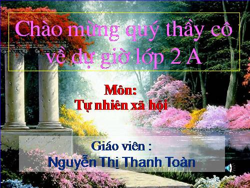 Bài 16. Các thành viên trong nhà trường