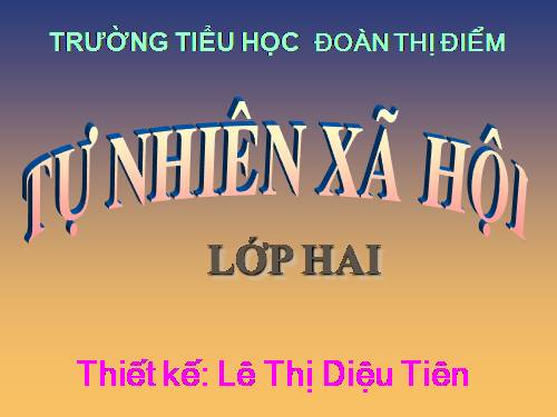Bài 25. Một số loài cây sống trên cạn