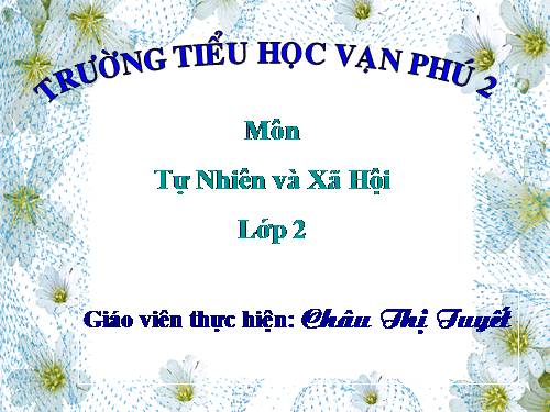 Bài 11. Gia đình