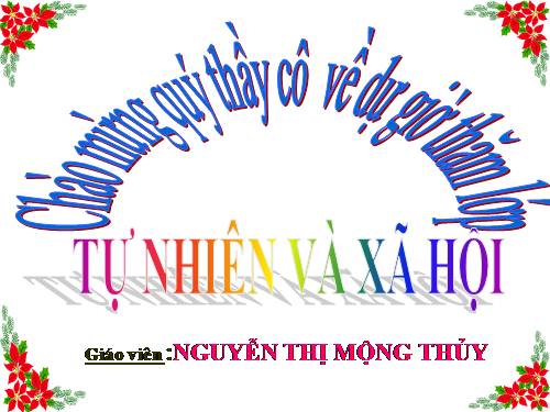 Bài 17. Phòng tránh ngã khi ở trường