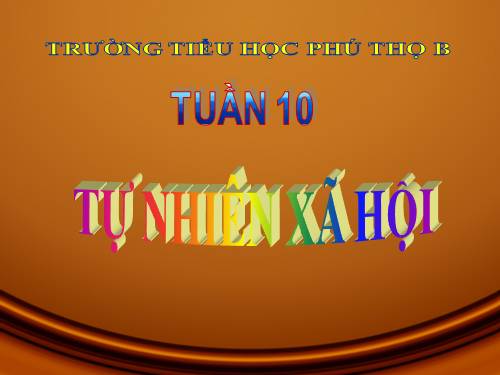 Bài 10. Ôn tập: Con người và sức khoẻ