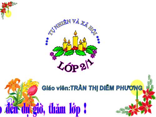 Bài 9. Đề phòng bệnh giun