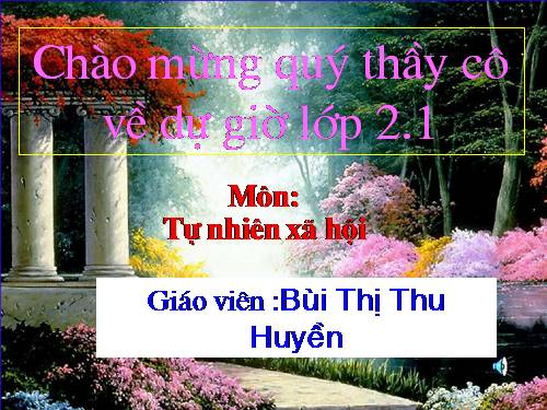 Bài 16. Các thành viên trong nhà trường