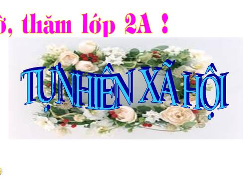Bài 25. Một số loài cây sống trên cạn