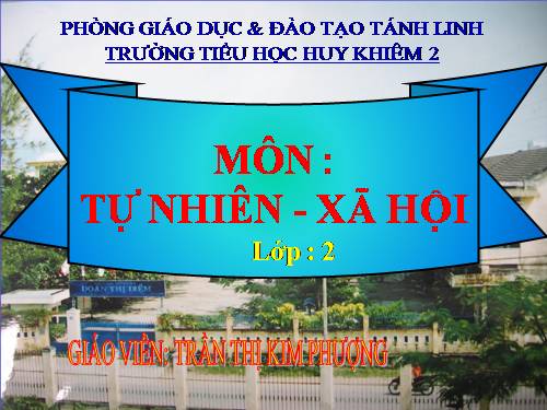 Bài 16. Các thành viên trong nhà trường