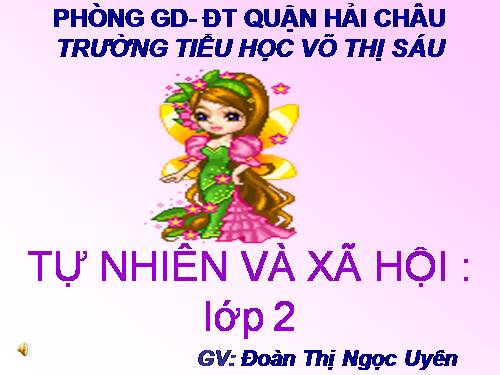 Bài 15. Trường học