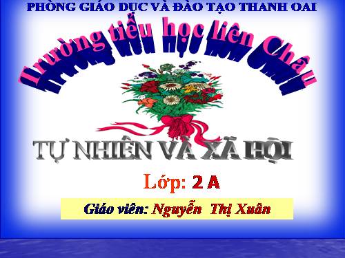 Bài 16. Các thành viên trong nhà trường
