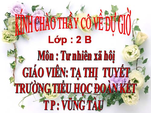 Bài 16. Các thành viên trong nhà trường