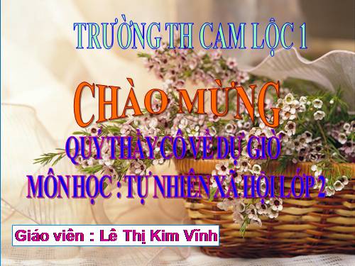 Bài 24. Cây sống ở đâu?