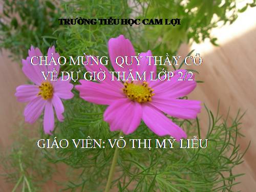 Bài 11. Gia đình