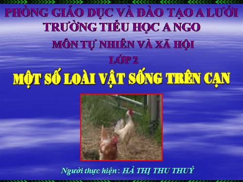 Bài 28. Một số loài vật sống trên cạn