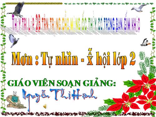 Bài 14. Phòng tránh ngộ độc khi ở nhà